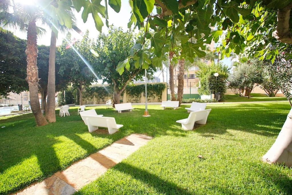 דירות אליקאנטה In Front Of The Sea With Ac And Pool מראה חיצוני תמונה